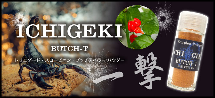 ICHIGEKI スコーピオン・ブッチ・T